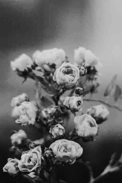 Archillect ID 56377