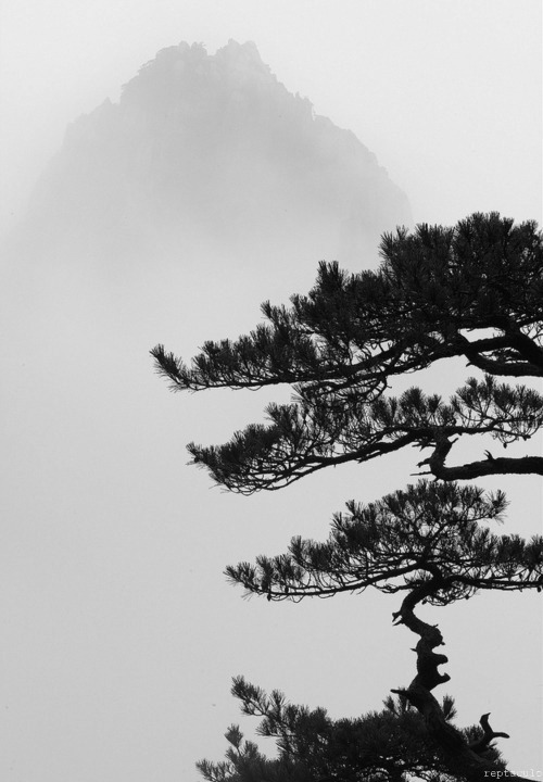 Archillect ID 56388