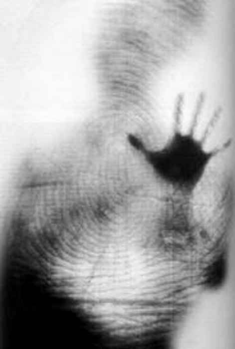 Archillect ID 56417