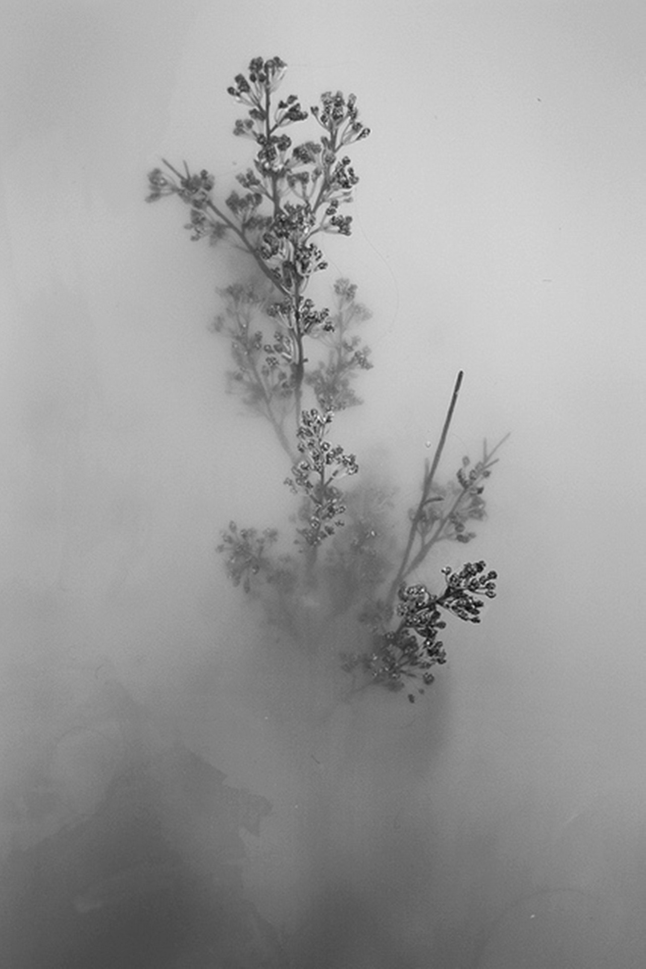 Archillect ID 56424
