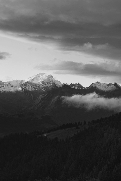 Archillect ID 56450