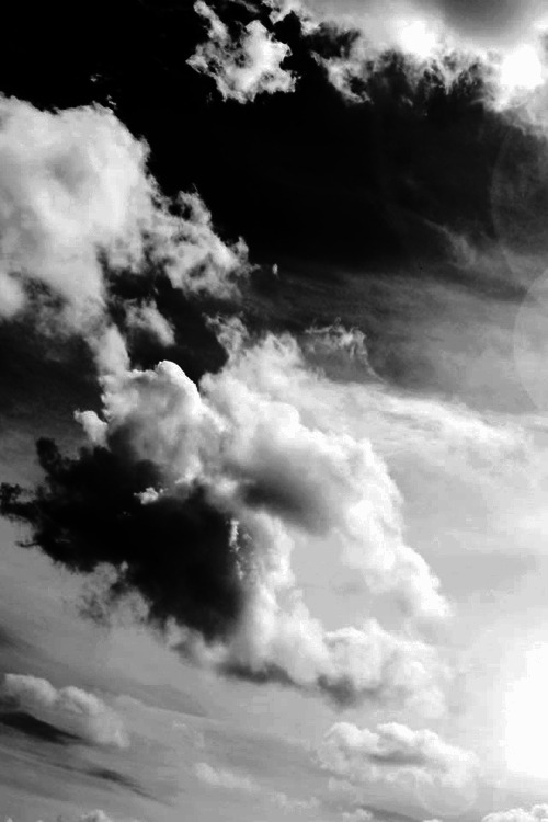 Archillect ID 56491