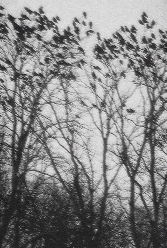 Archillect ID 56512