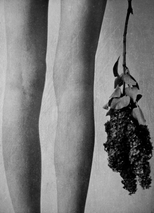 Archillect ID 56578