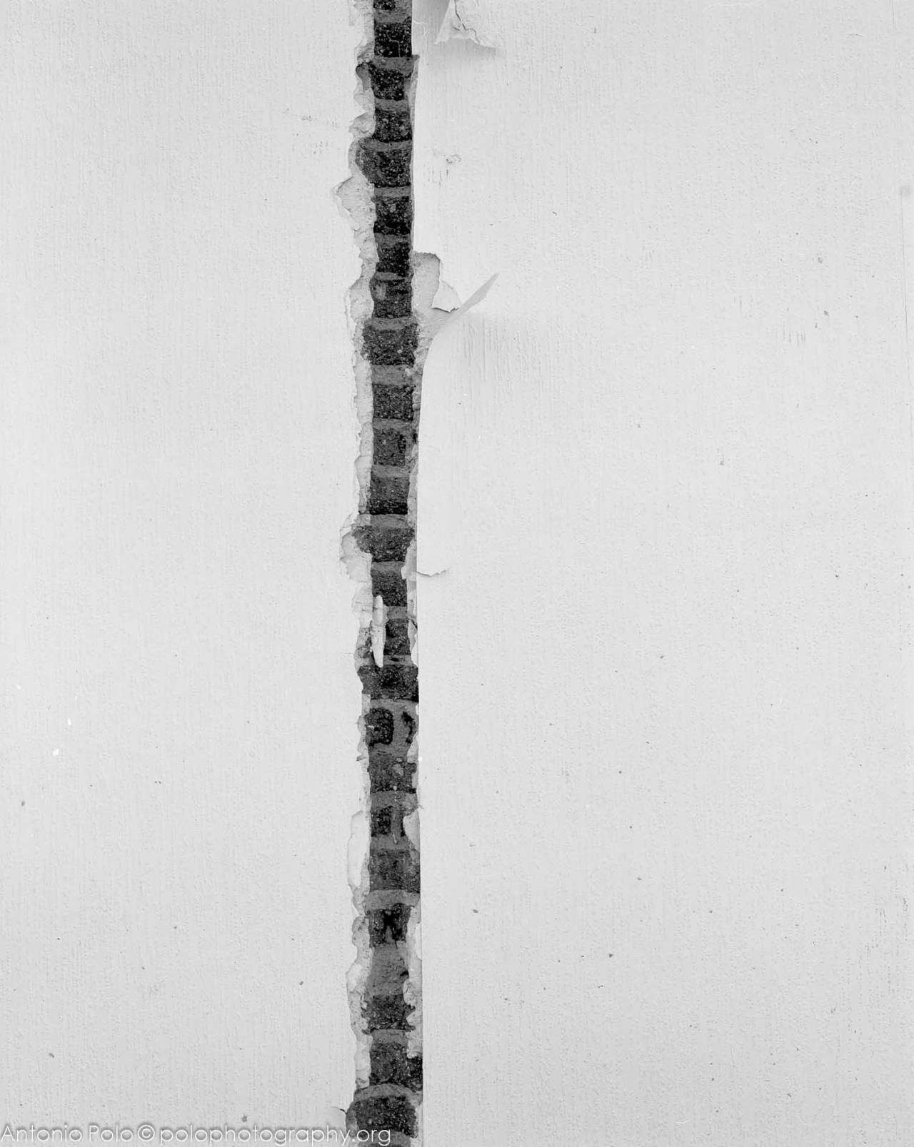 Archillect ID 56681
