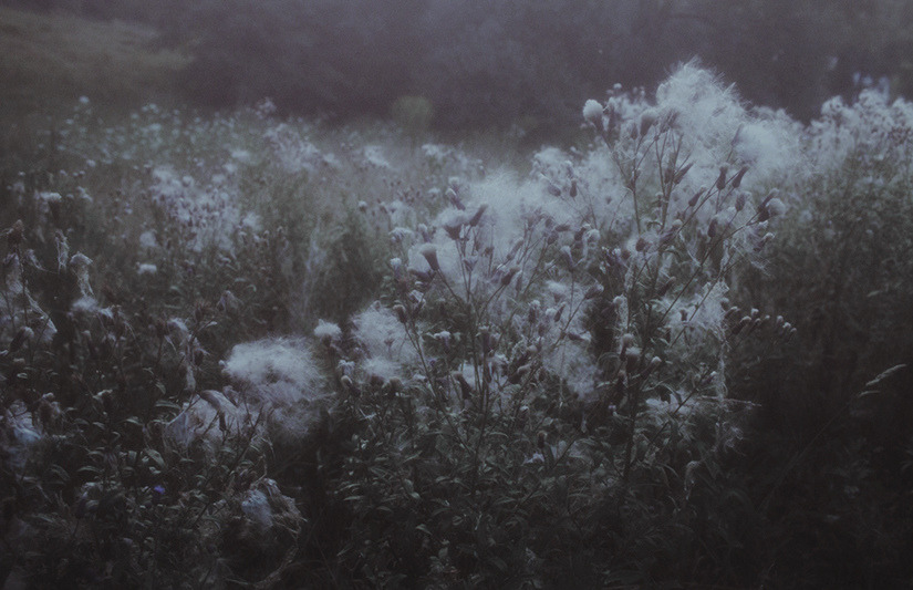 Archillect ID 56706