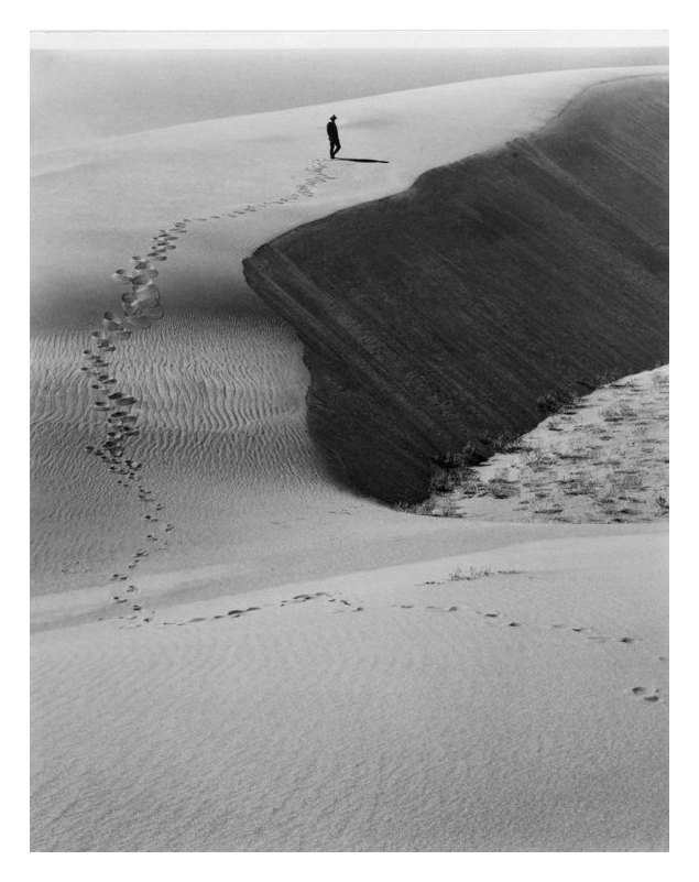 Archillect ID 56751