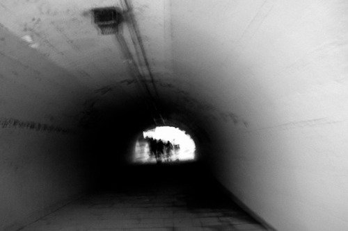 Archillect ID 56753