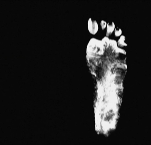 Archillect ID 56775