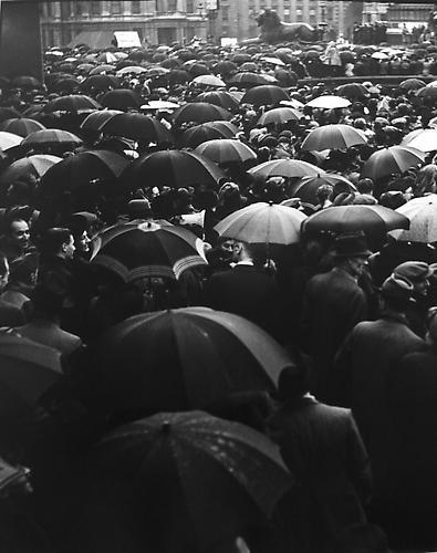 Archillect ID 56805