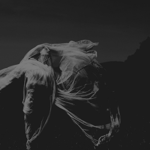 Archillect ID 56819