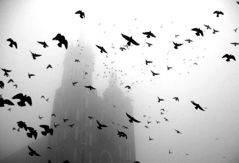 Archillect ID 56872