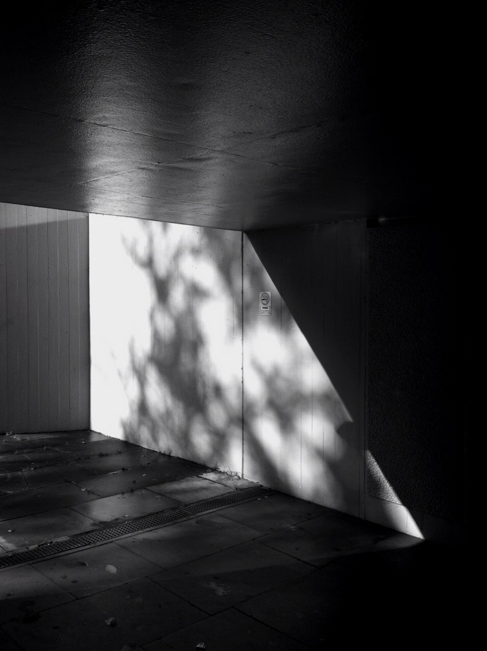 Archillect ID 56919