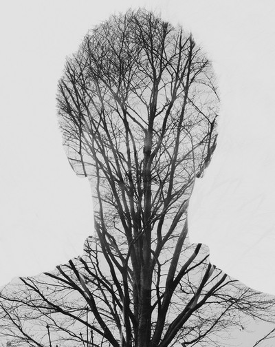 Archillect ID 57018