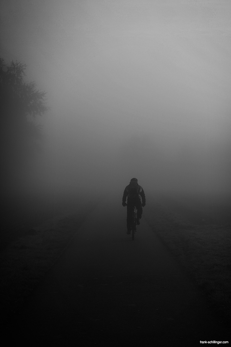 Archillect ID 57025