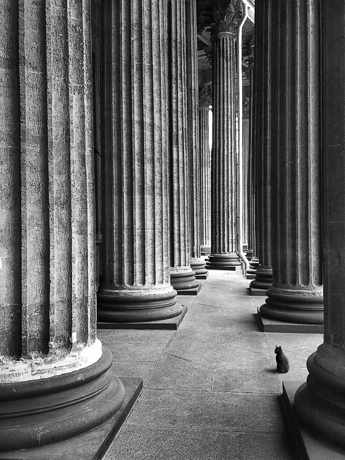 Archillect ID 57099