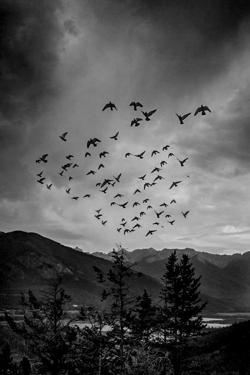 Archillect ID 57169