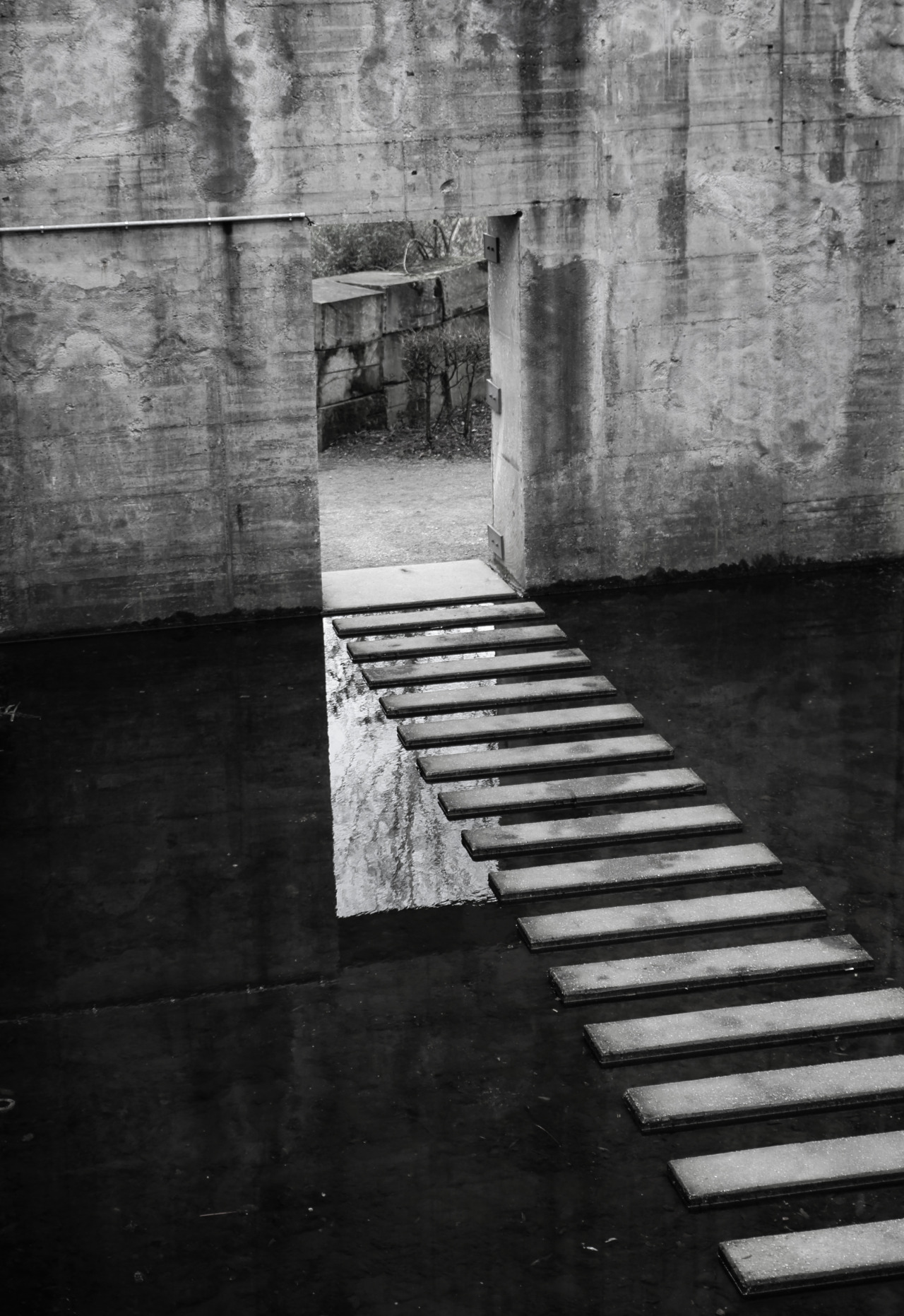 Archillect ID 57211