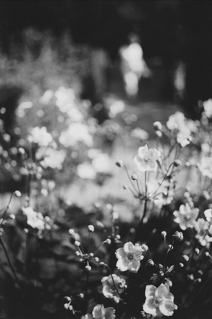 Archillect ID 57247