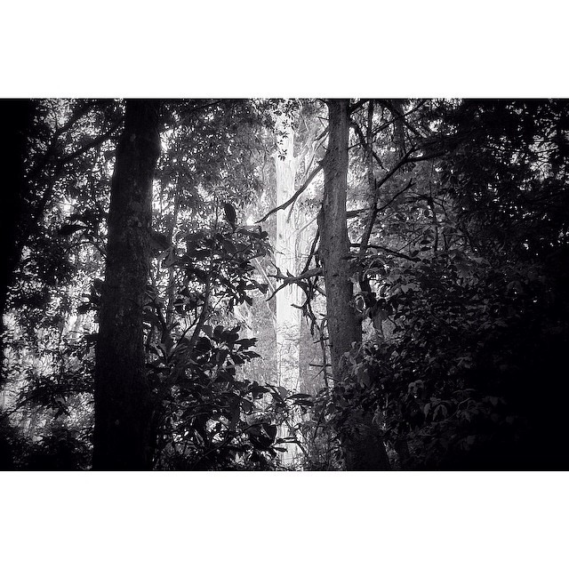 Archillect ID 57264