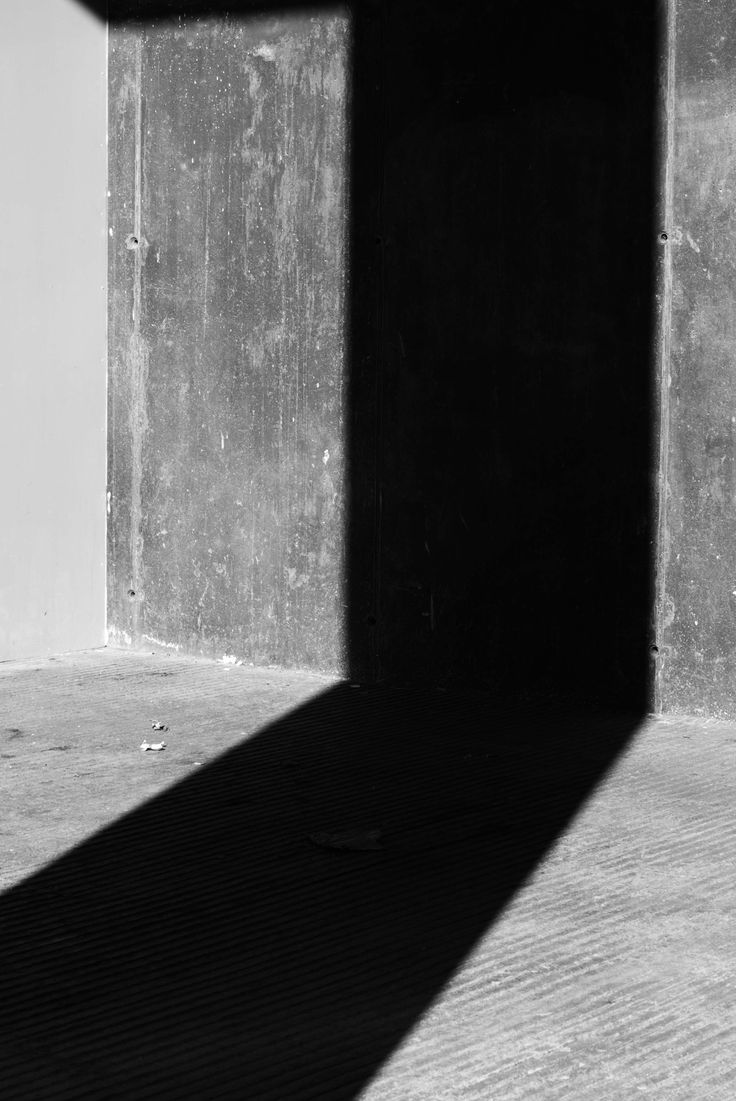 Archillect ID 57288
