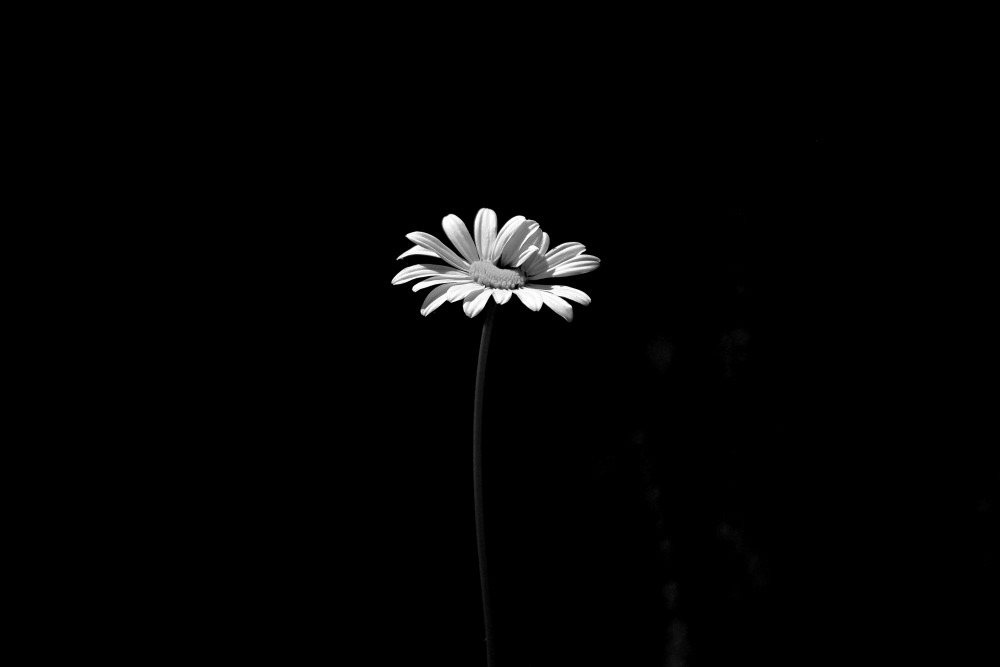 Archillect ID 57412