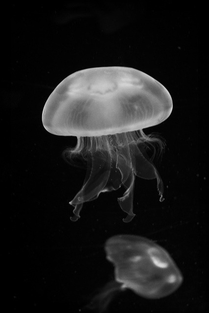 Archillect ID 57599