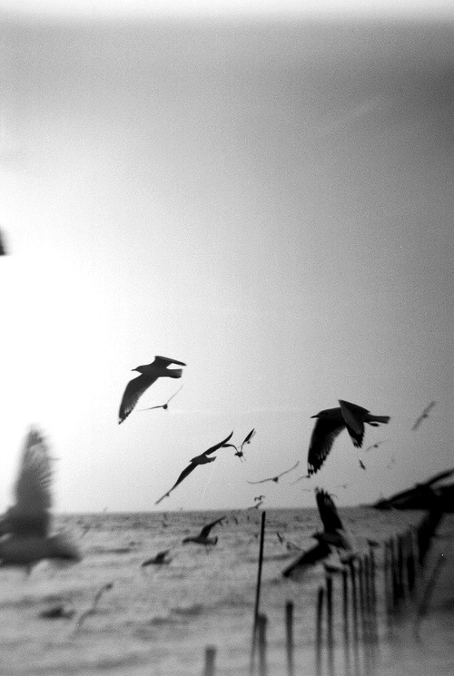 Archillect ID 57618