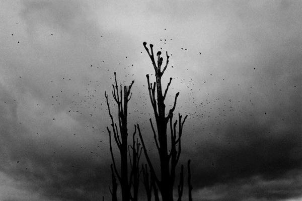 Archillect ID 57667