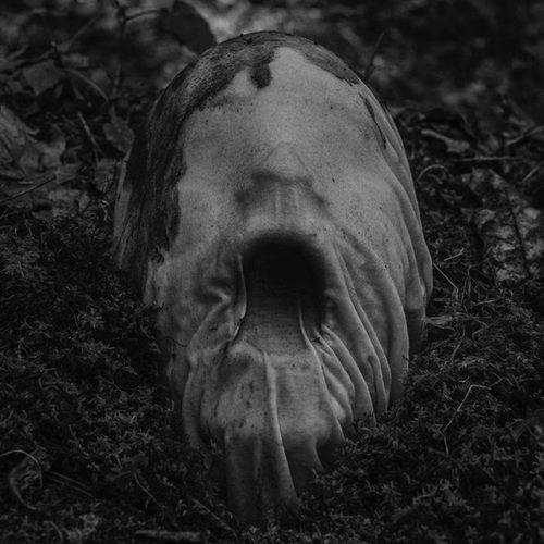 Archillect ID 57810