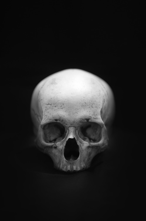 Archillect ID 57860