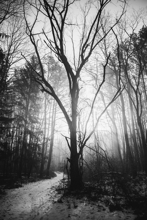 Archillect ID 58009