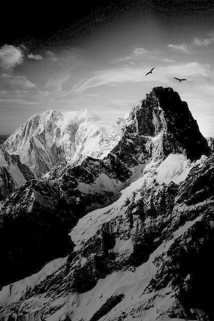 Archillect ID 58024