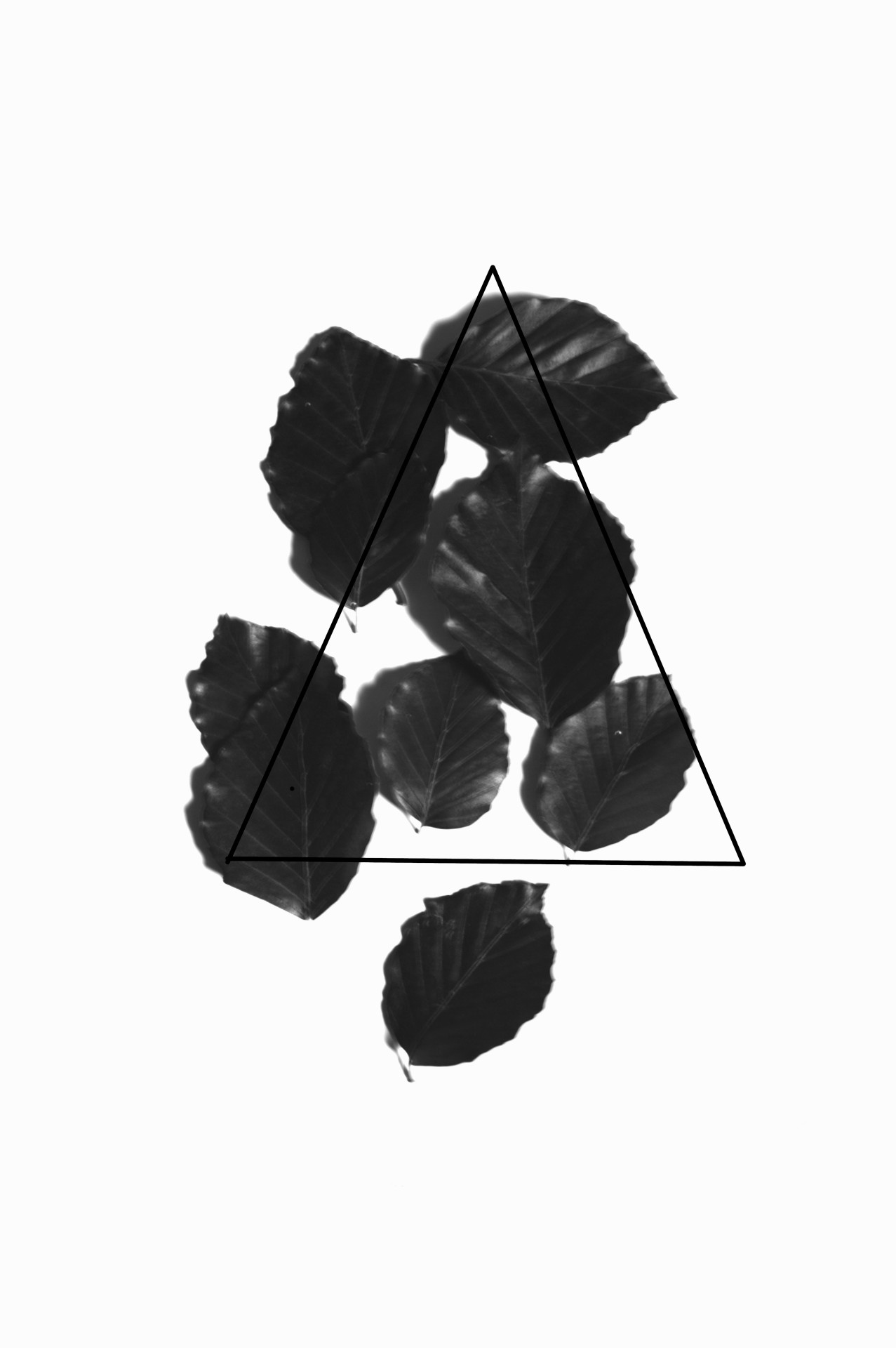 Archillect ID 58076