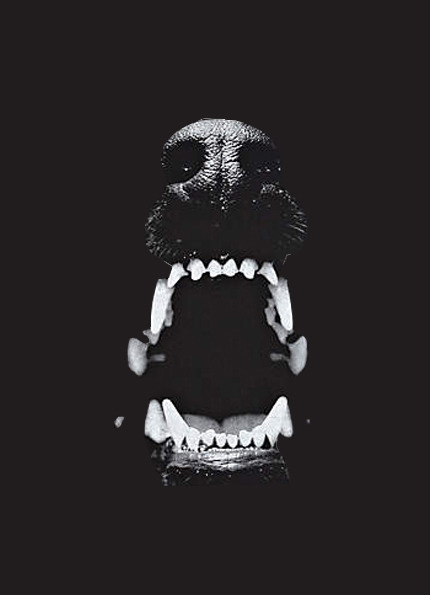 Archillect ID 58092