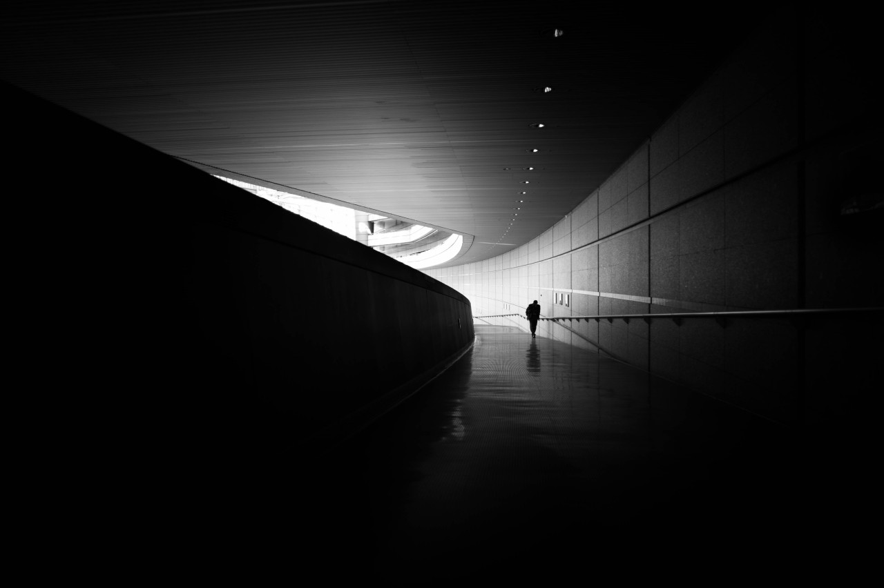 Archillect ID 58158