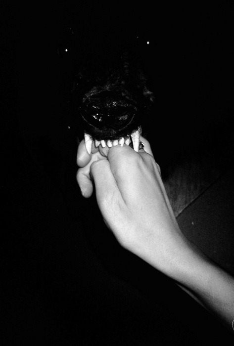 Archillect ID 58267