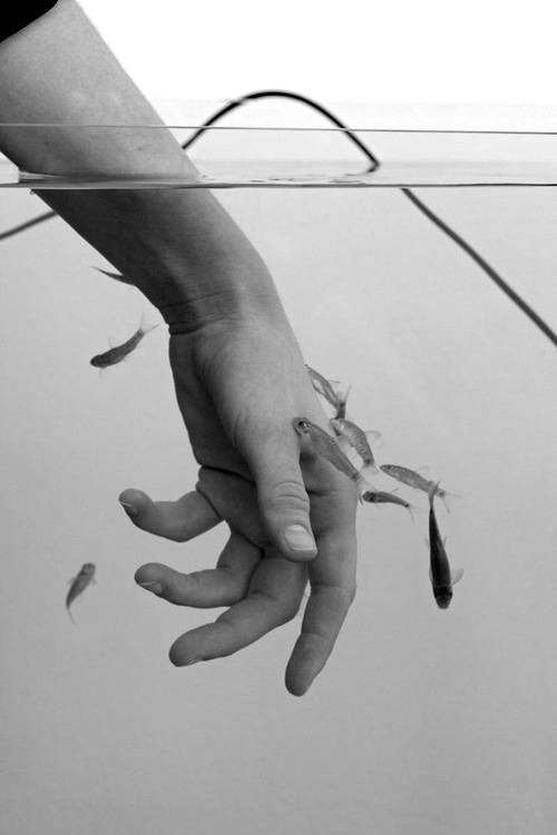 Archillect ID 58309