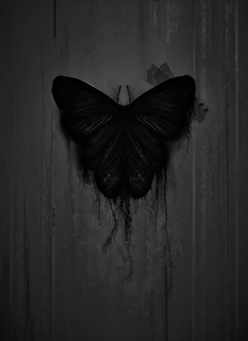 Archillect ID 58326