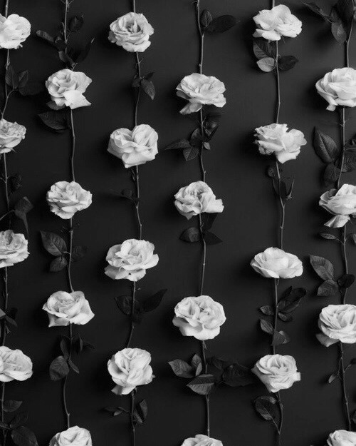 Archillect ID 58327