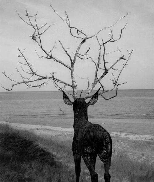 Archillect ID 58364