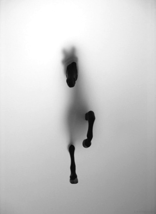Archillect ID 58369