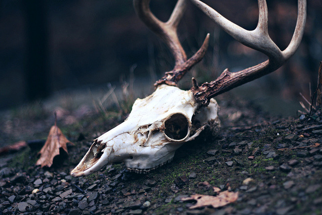 Archillect ID 58401