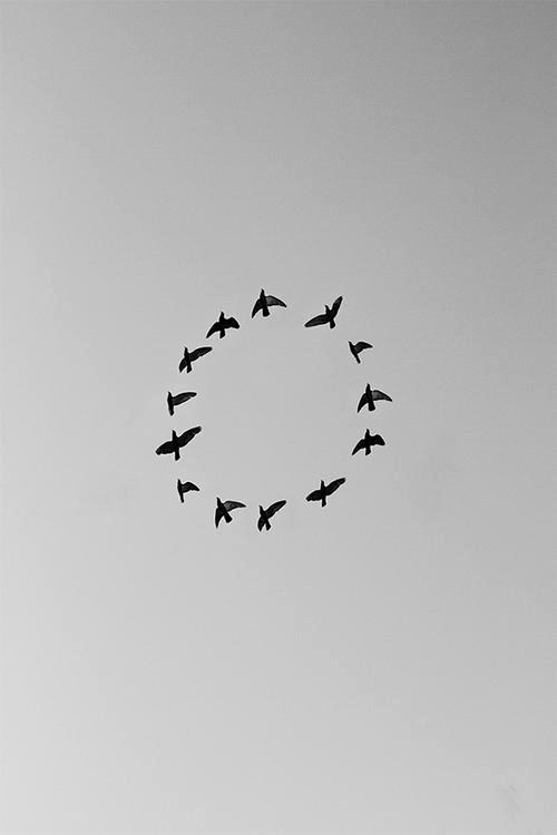 Archillect ID 58548