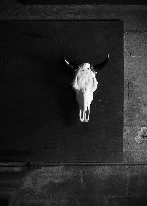 Archillect ID 58588