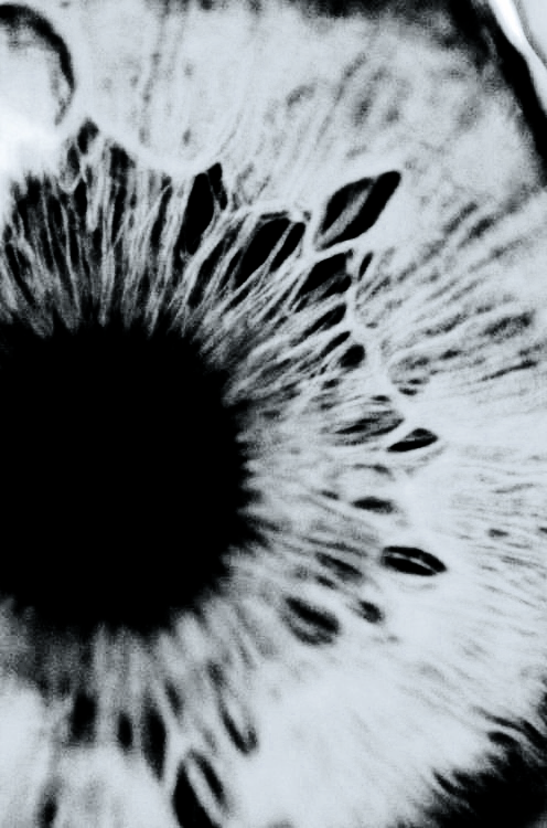 Archillect ID 58691