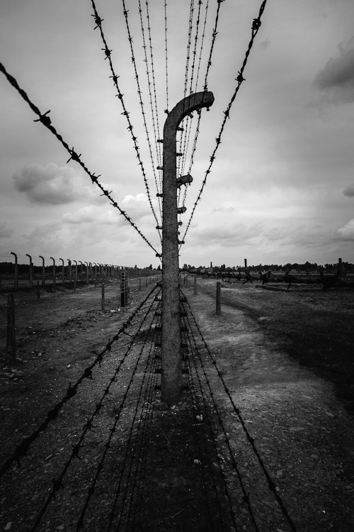 Archillect ID 58762