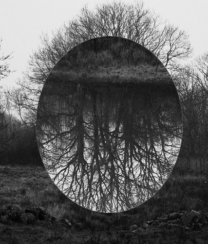 Archillect ID 58807