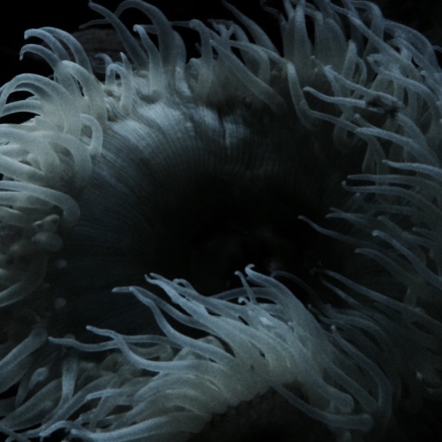 Archillect ID 58884