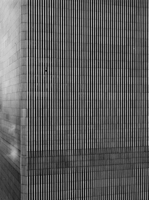 Archillect ID 58894